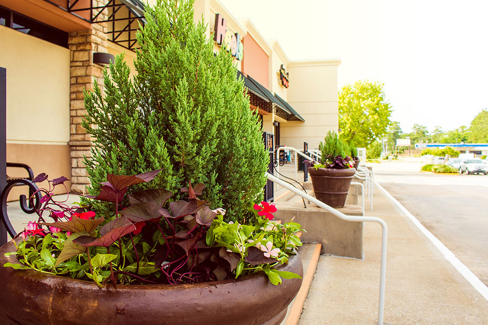 Landry's Landscape Portfolio